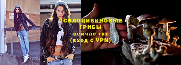 крисы Кукмор