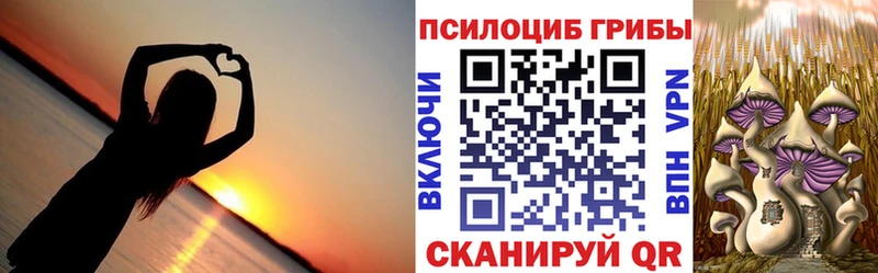 что такое   Михайловка  Галлюциногенные грибы мухоморы 
