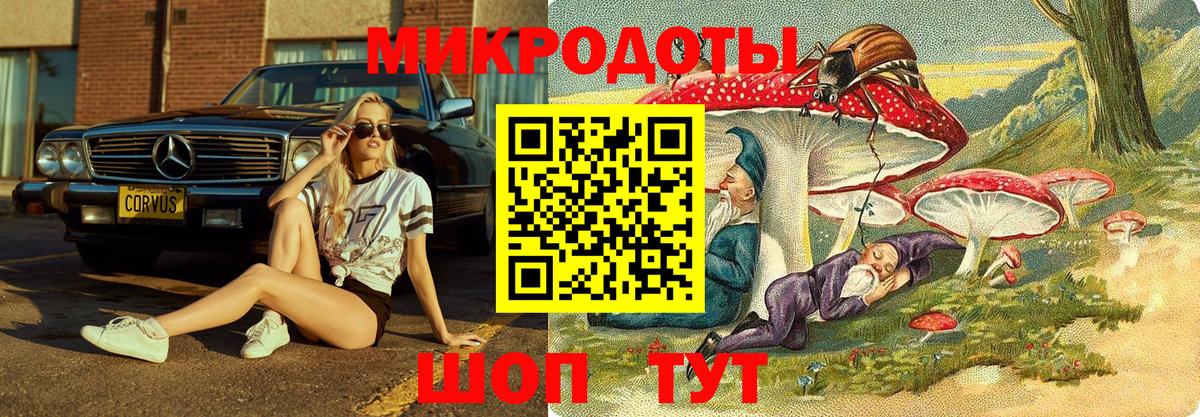 Псилоцибиновые грибы Psilocybine cubensis  Вход с VPN  Михайловка 