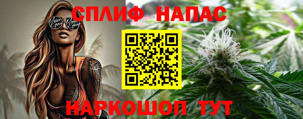 Бошки Шишки план Михайловка