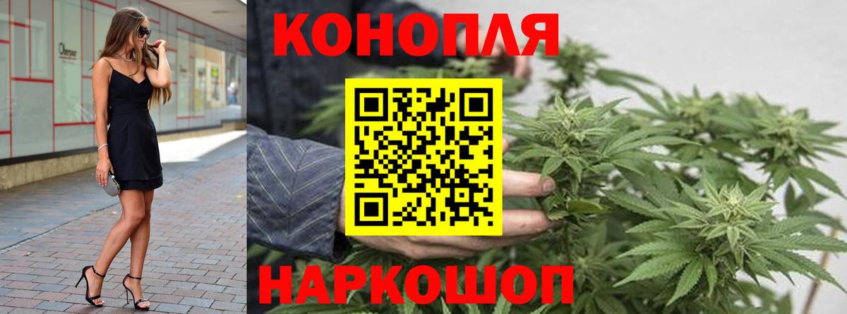Бошки Шишки план  Марихуана марихуана  Михайловка  Канабис тримм  Вход с VPN 